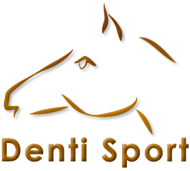 Denti Sport AB